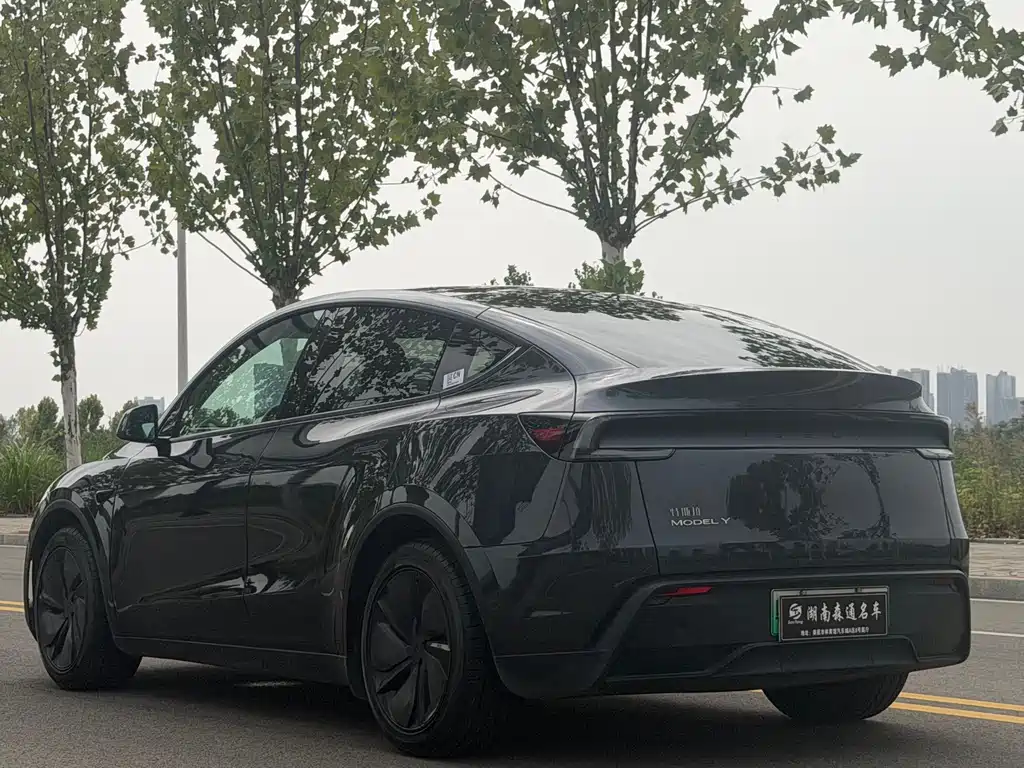 Tesla Model Y — фото 5
