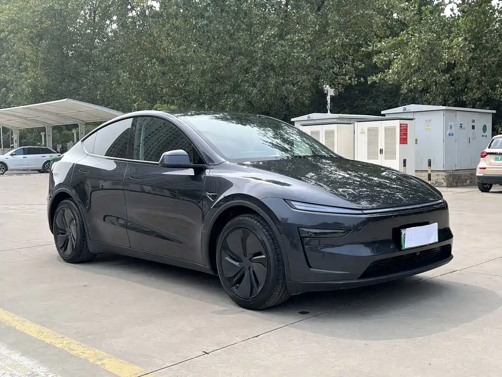 Tesla Model Y — фото 2
