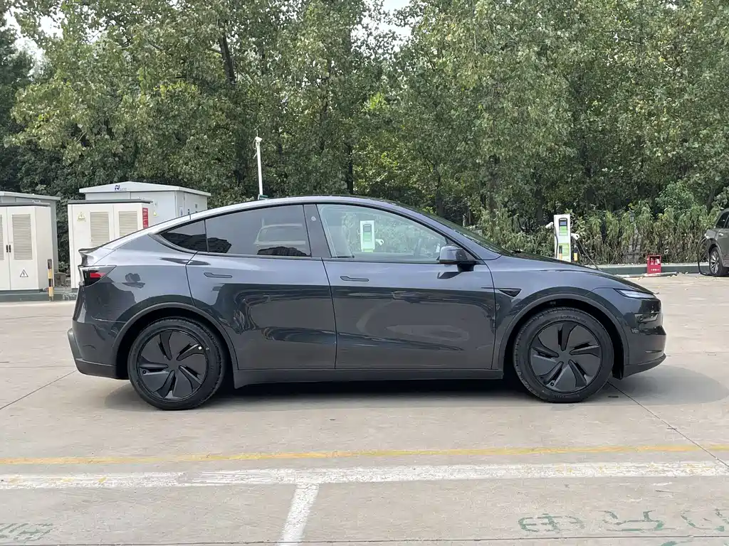 Tesla Model Y — фото 14