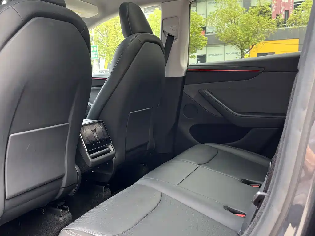 Tesla Model Y — фото 15