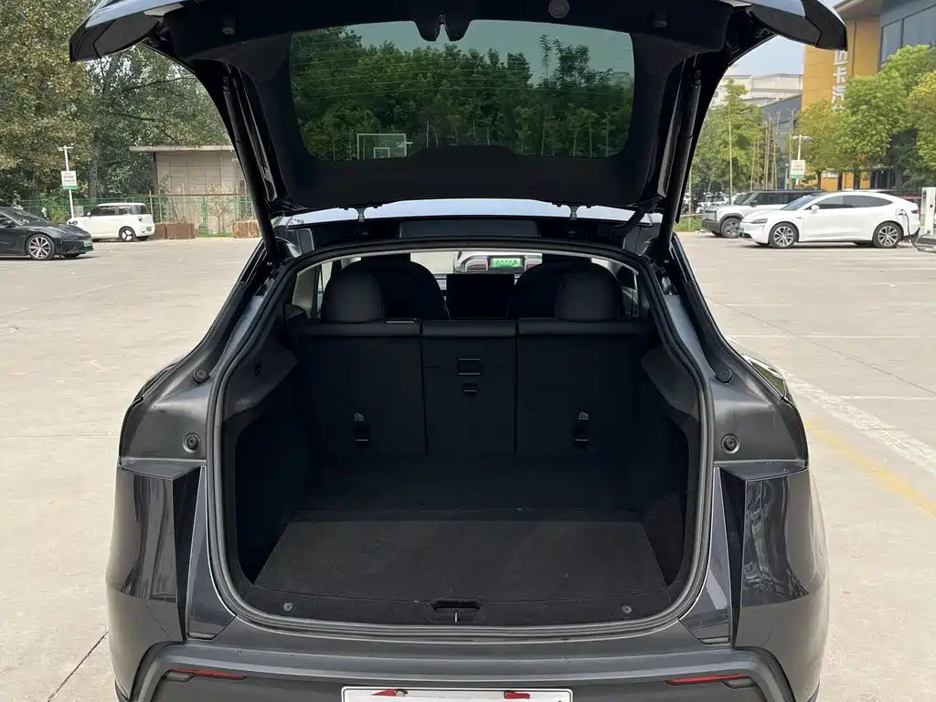 Tesla Model Y — фото 16