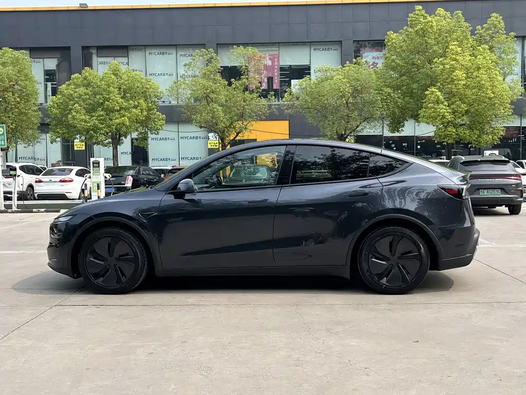 Tesla Model Y — фото 3