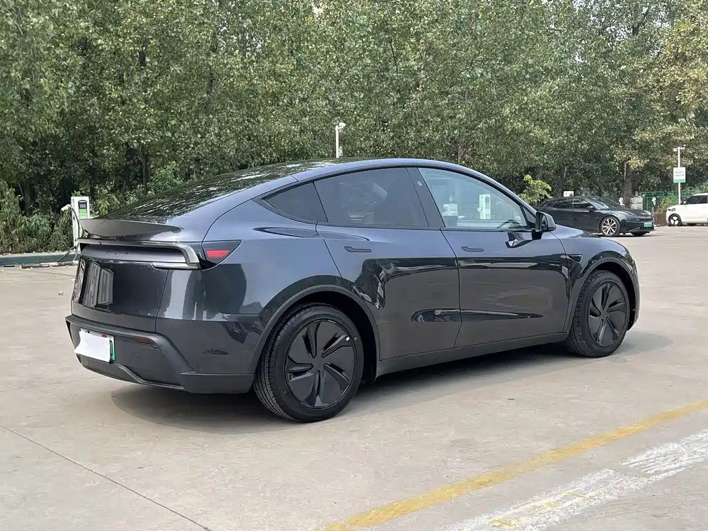 Tesla Model Y — фото 5