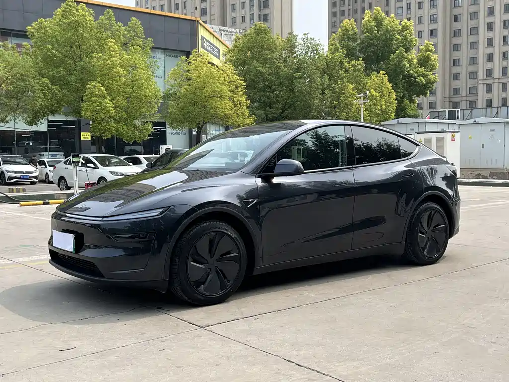 Tesla Model Y — фото 8