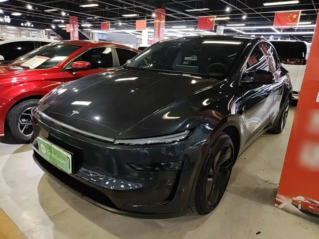 Tesla Model Y — фото 2
