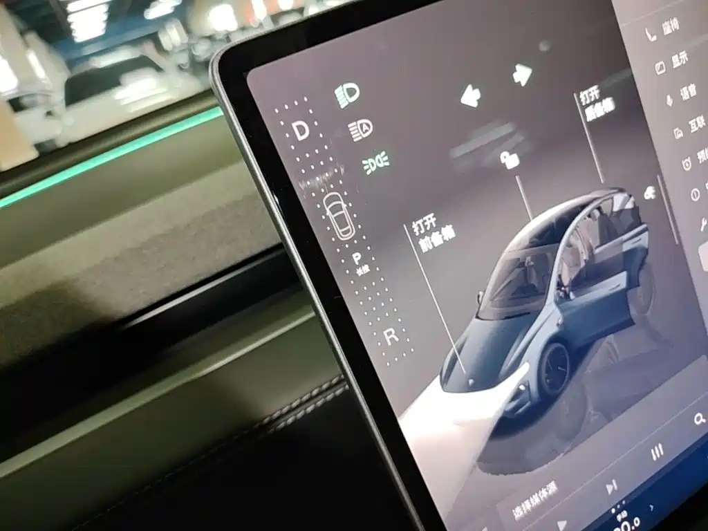 Tesla Model Y — фото 14