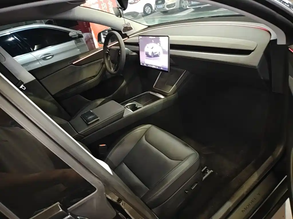 Tesla Model Y — фото 25