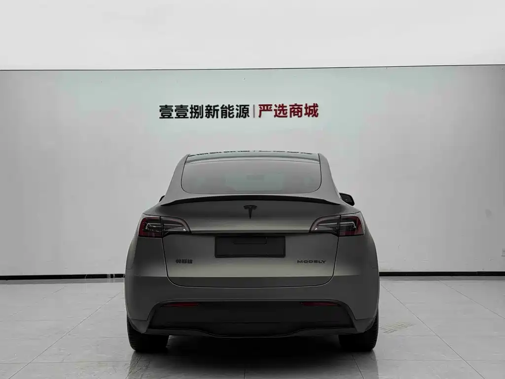 Tesla Model Y — фото 9