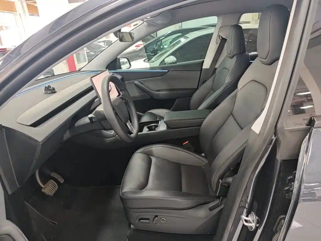 Tesla Model Y — фото 11