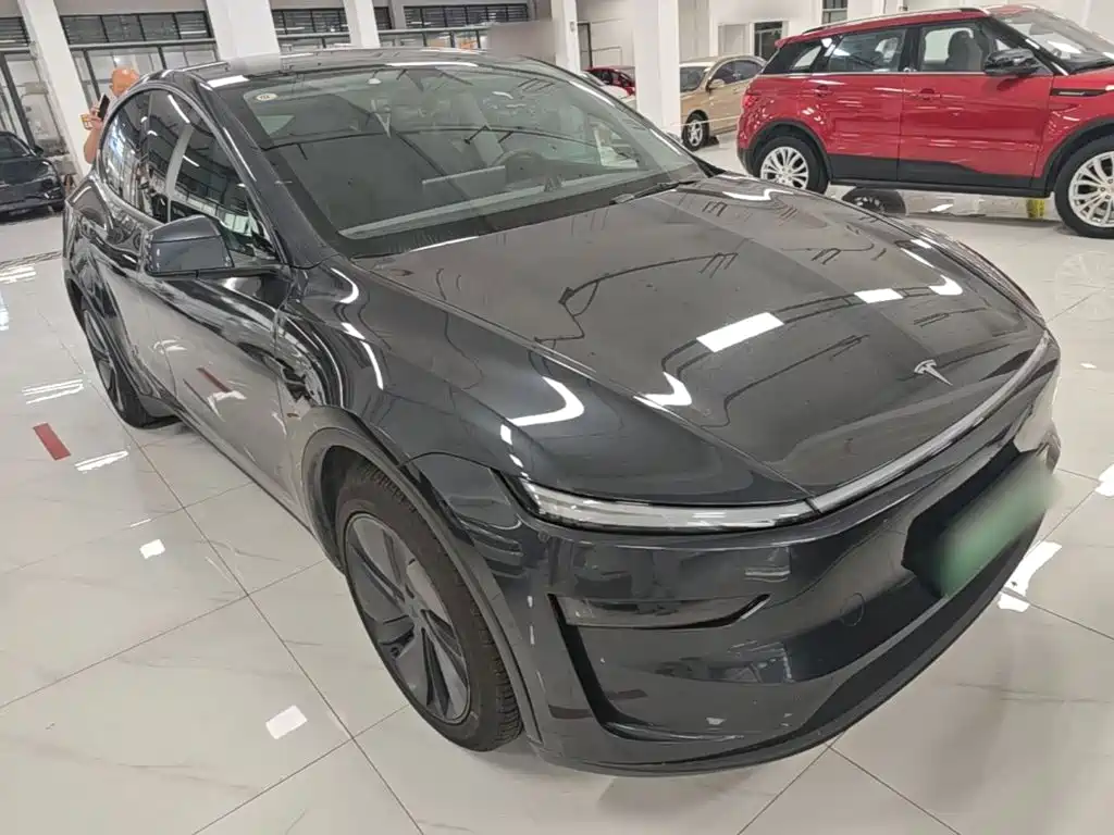 Tesla Model Y — фото 22