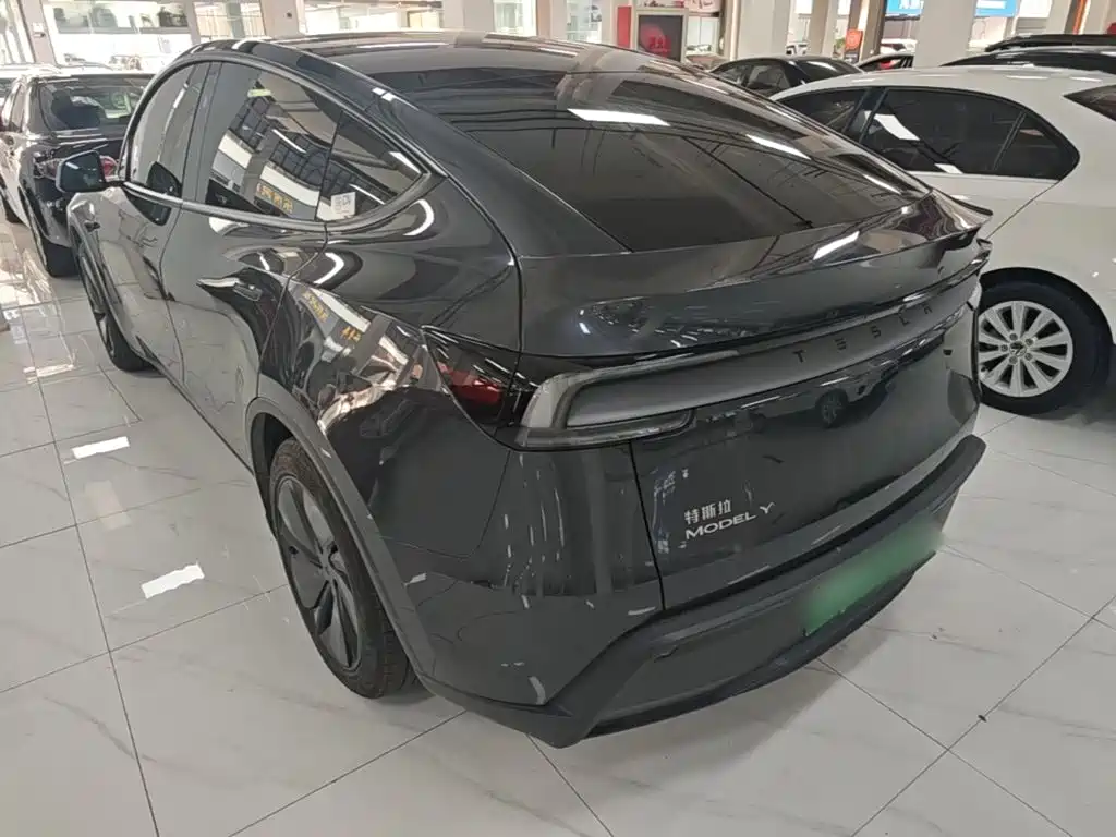 Tesla Model Y — фото 23