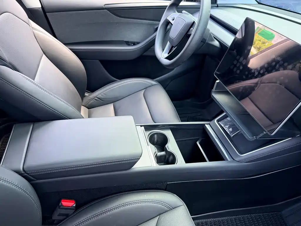 Tesla Model Y — фото 11