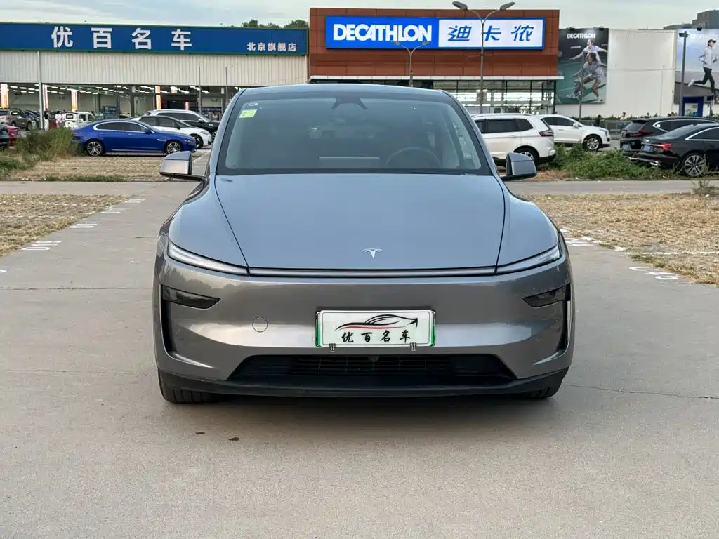 Tesla Model Y — фото 2