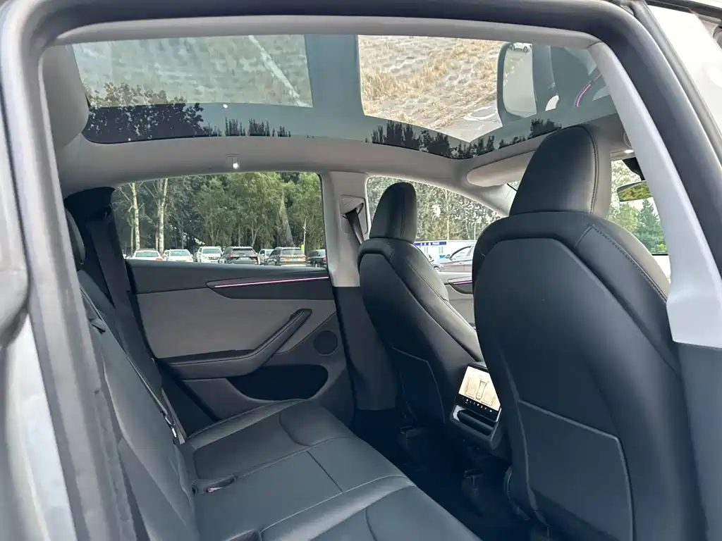 Tesla Model Y — фото 18