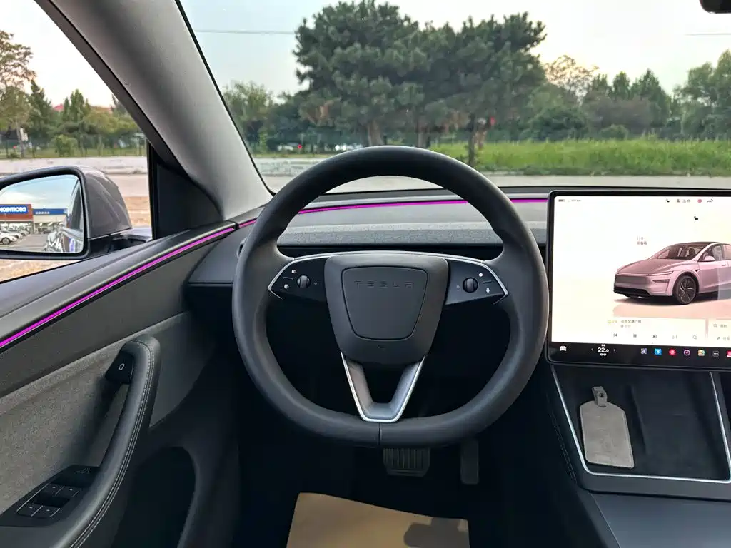 Tesla Model Y — фото 19