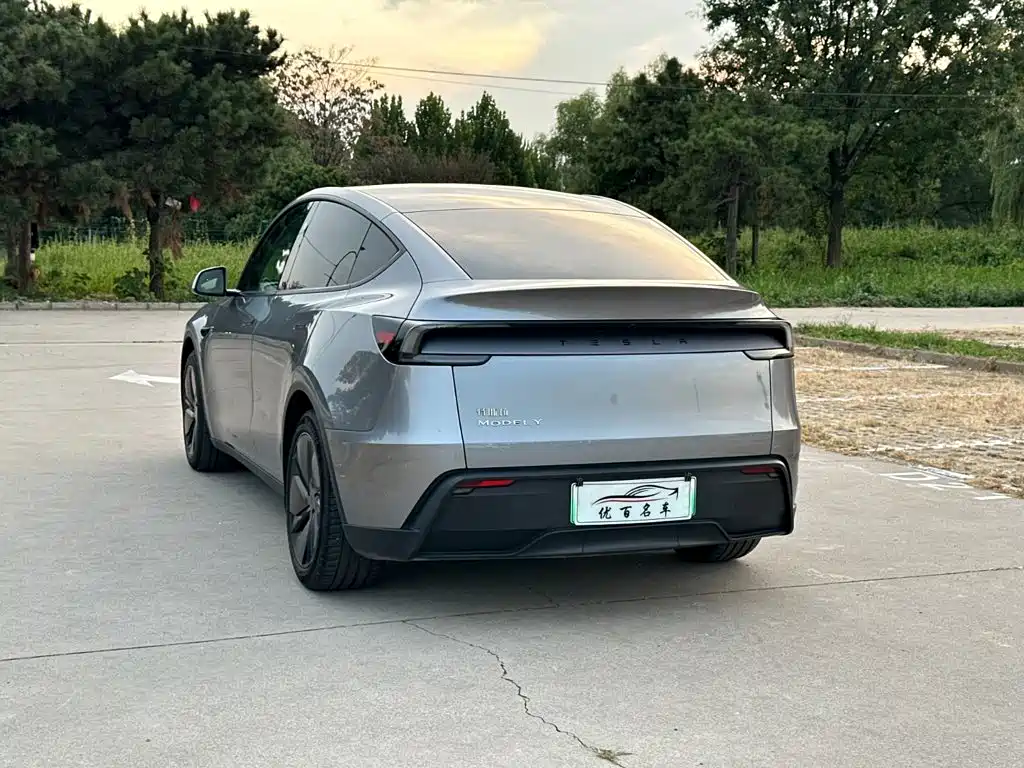 Tesla Model Y — фото 4