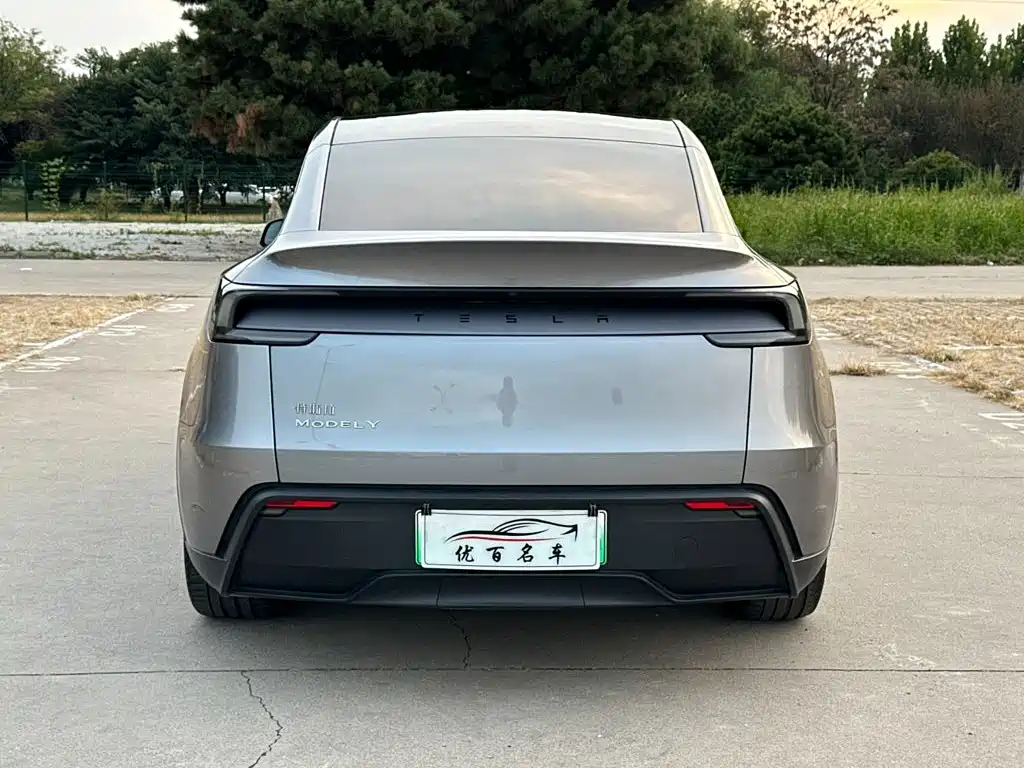 Tesla Model Y — фото 5