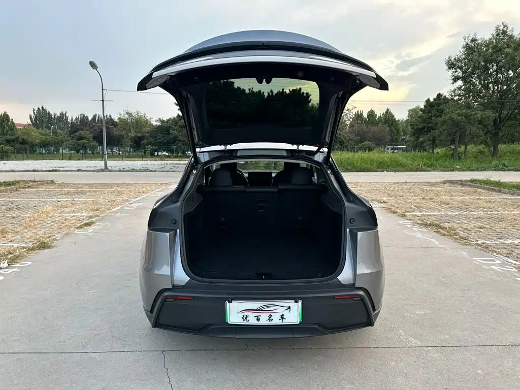 Tesla Model Y — фото 8