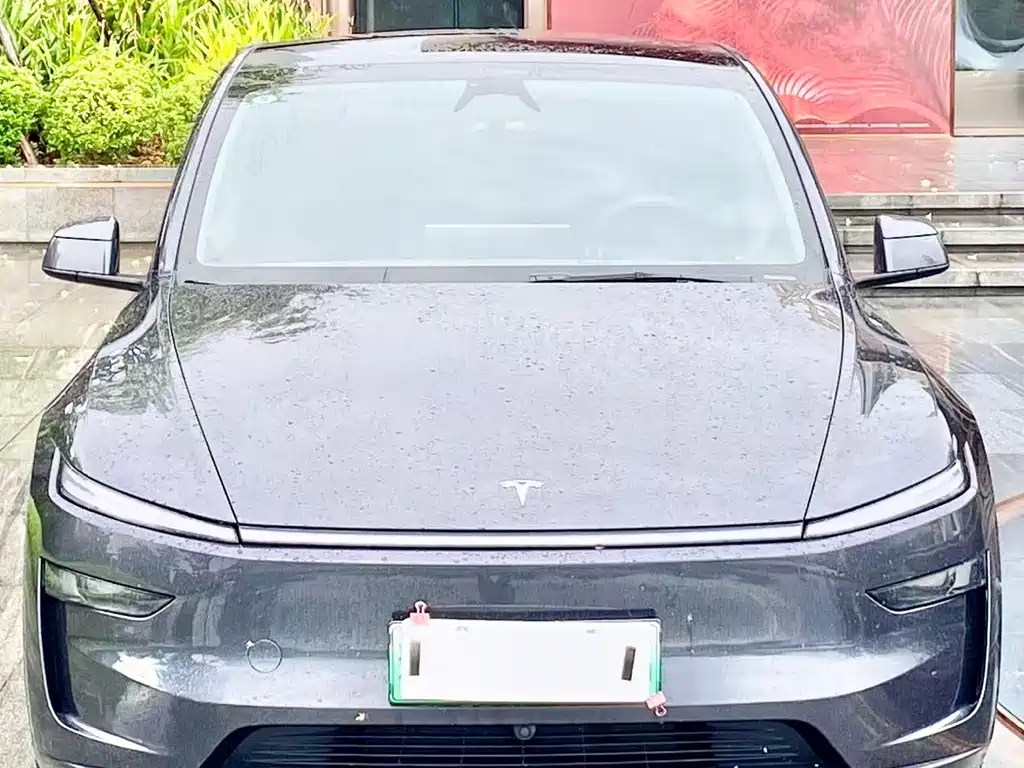 Tesla Model Y — фото 2