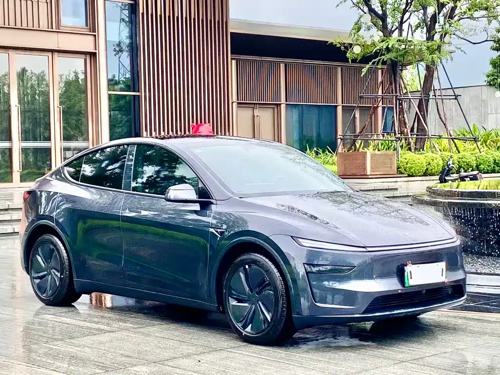 Tesla Model Y — фото 3