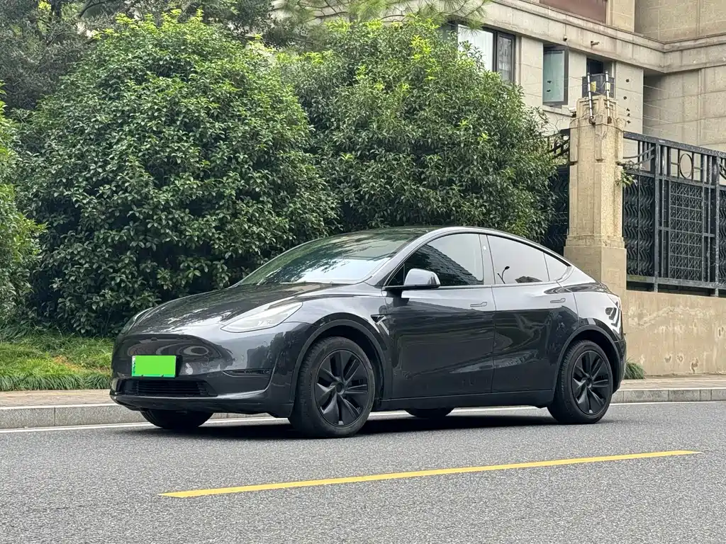 Tesla Model Y — фото 2