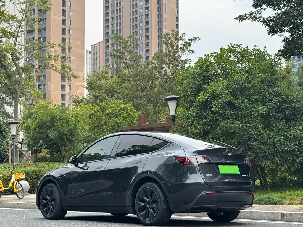Tesla Model Y — фото 11