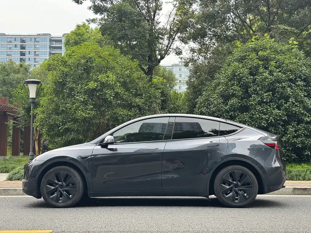 Tesla Model Y — фото 4