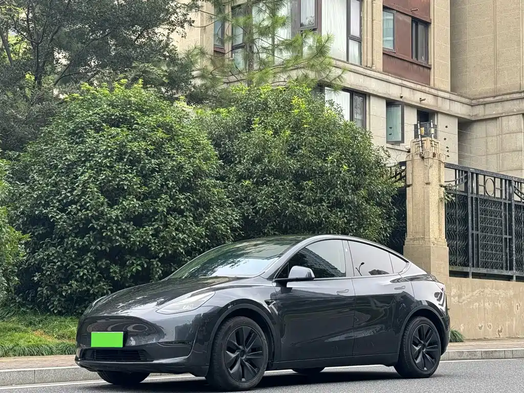 Tesla Model Y — фото 1