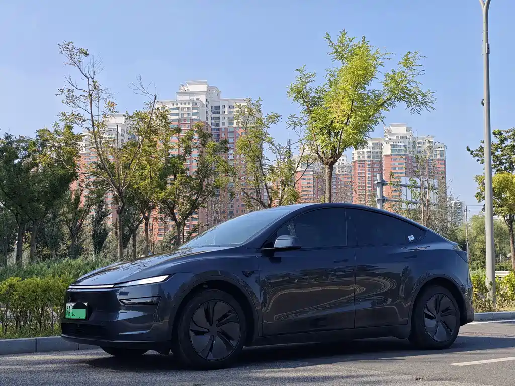 Tesla Model Y — фото 2