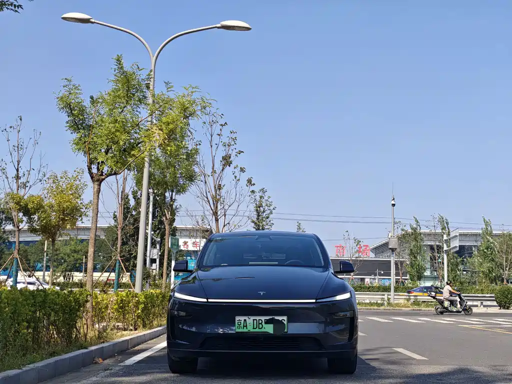 Tesla Model Y — фото 3
