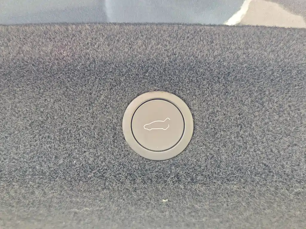 Tesla Model Y — фото 34