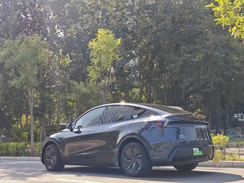 Tesla Model Y — фото 40