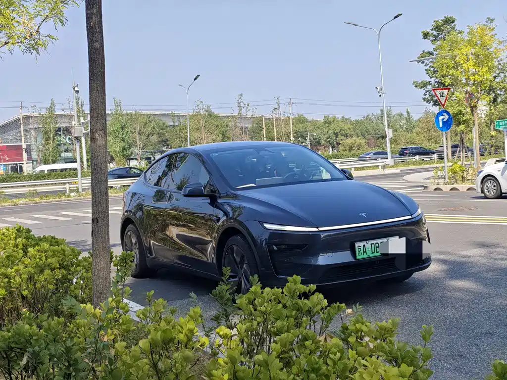 Tesla Model Y — фото 6