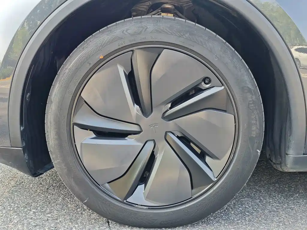 Tesla Model Y — фото 8