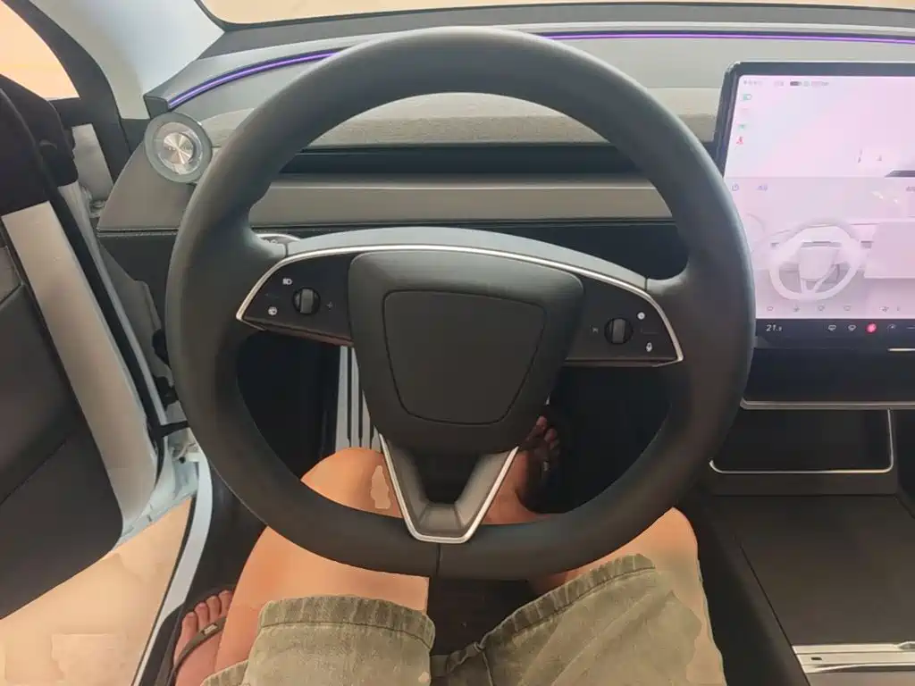 Tesla Model Y — фото 11