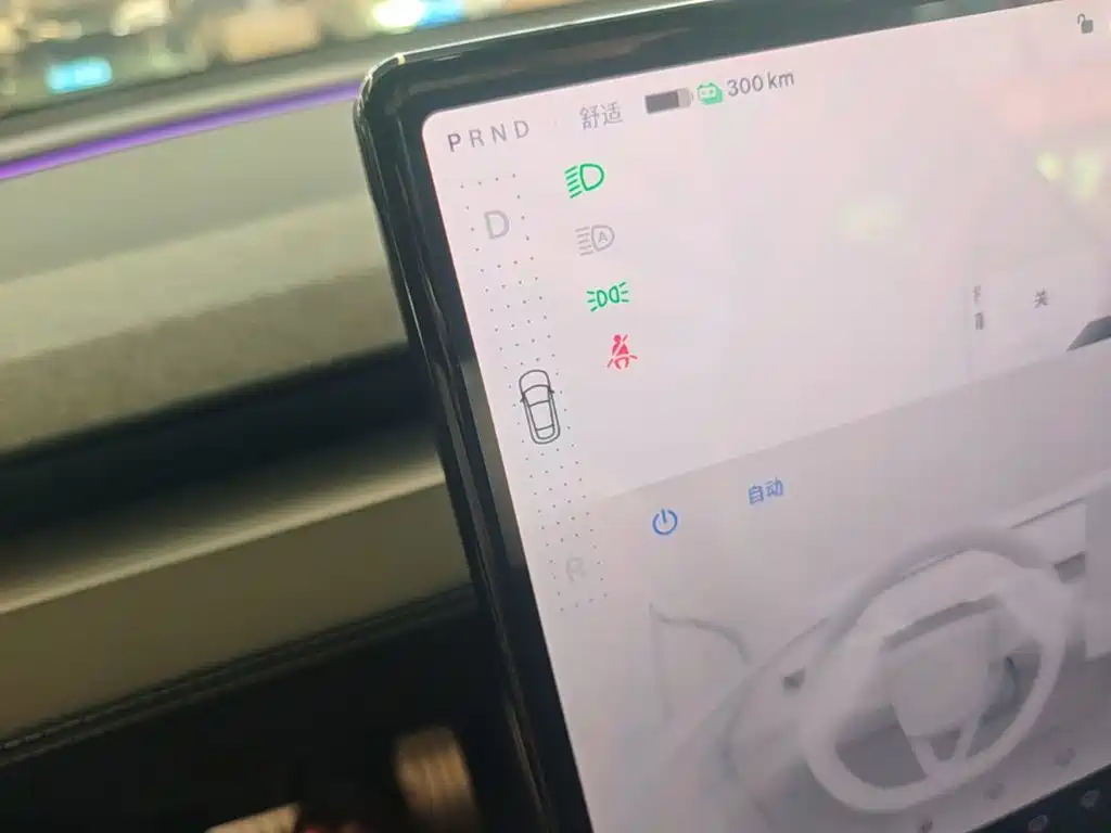 Tesla Model Y — фото 14