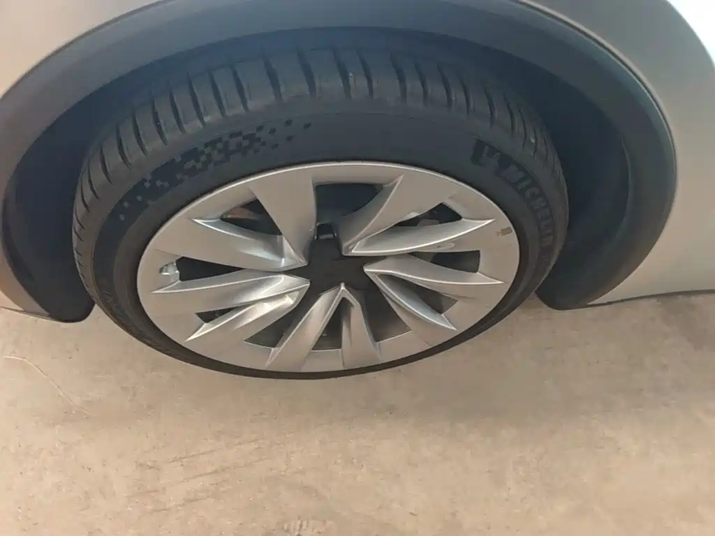 Tesla Model Y — фото 23