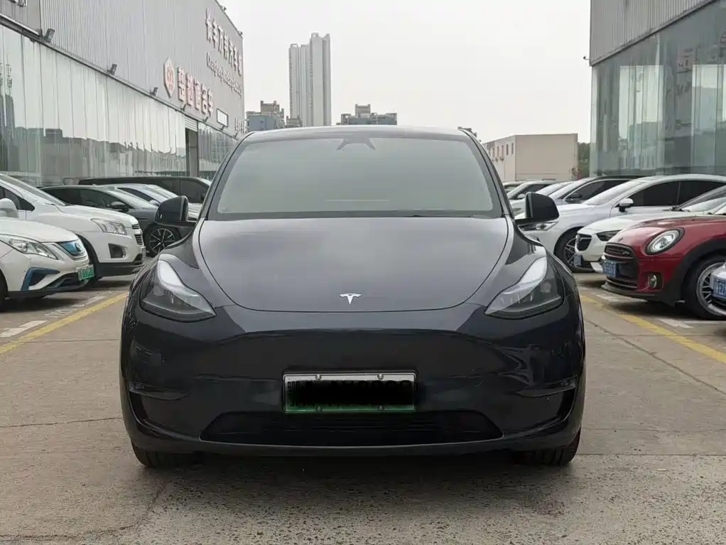 Tesla Model Y — фото 2