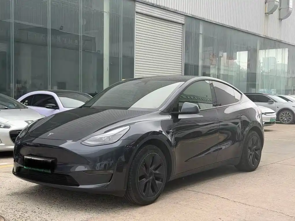 Tesla Model Y — фото 2