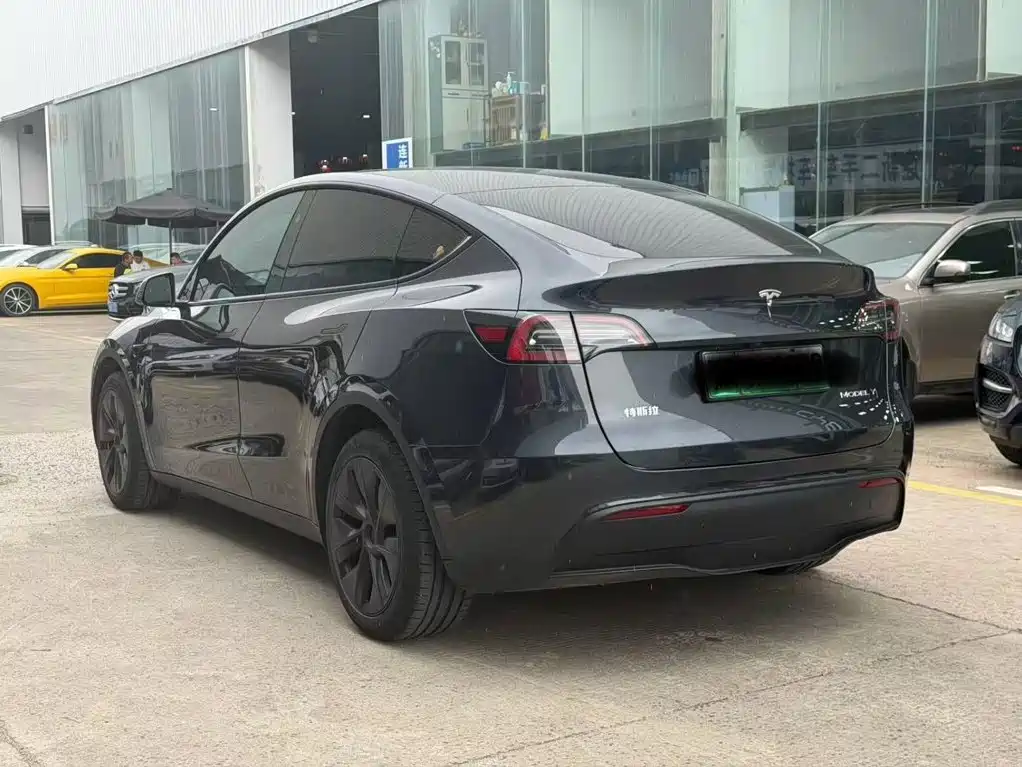 Tesla Model Y — фото 3
