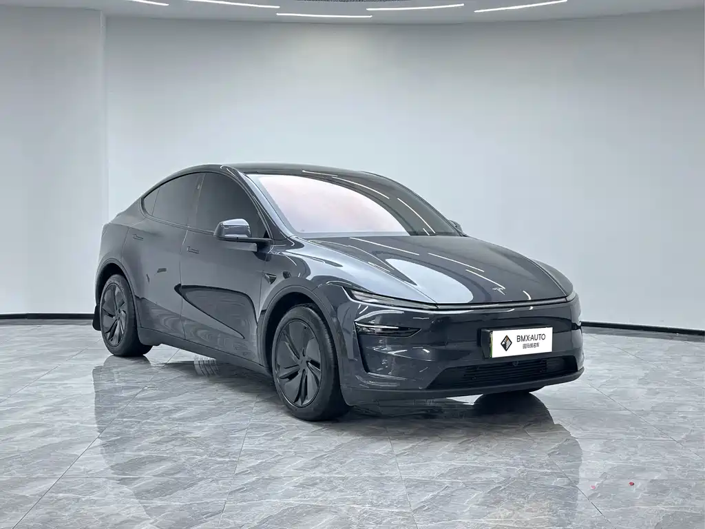 Tesla Model Y — фото 2