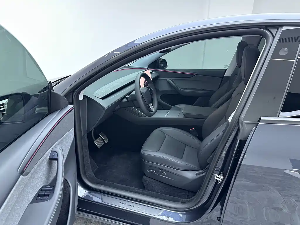 Tesla Model Y — фото 16