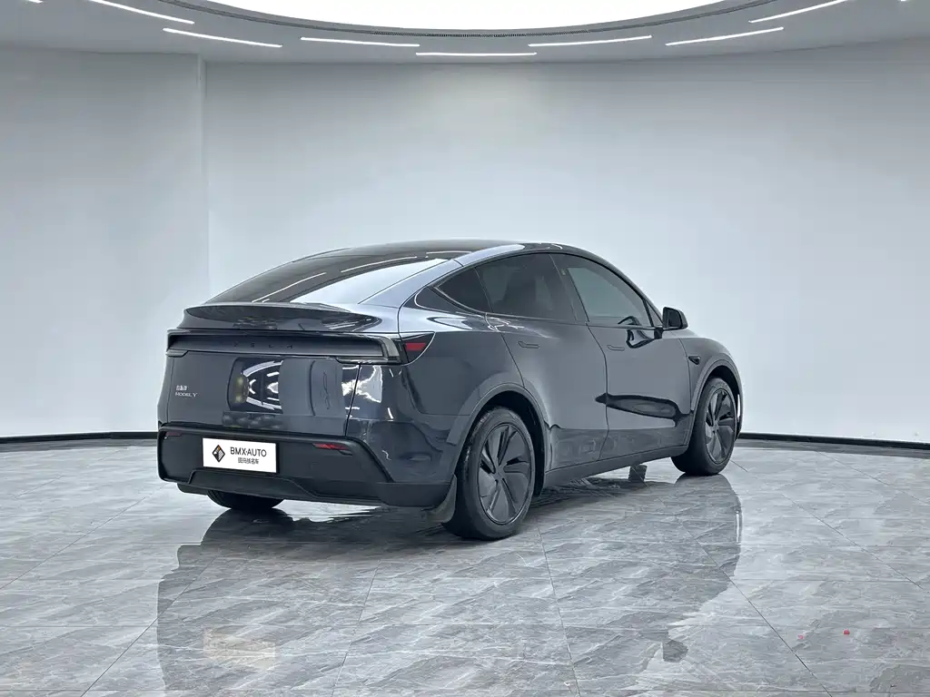 Tesla Model Y — фото 5