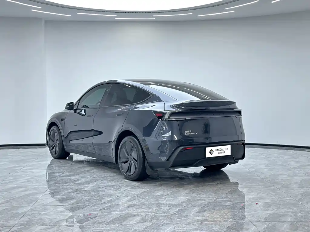 Tesla Model Y — фото 6