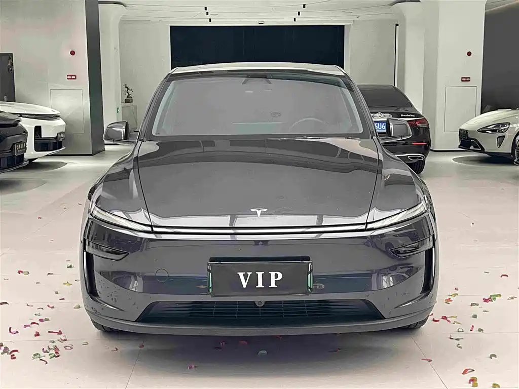Tesla Model Y — фото 2