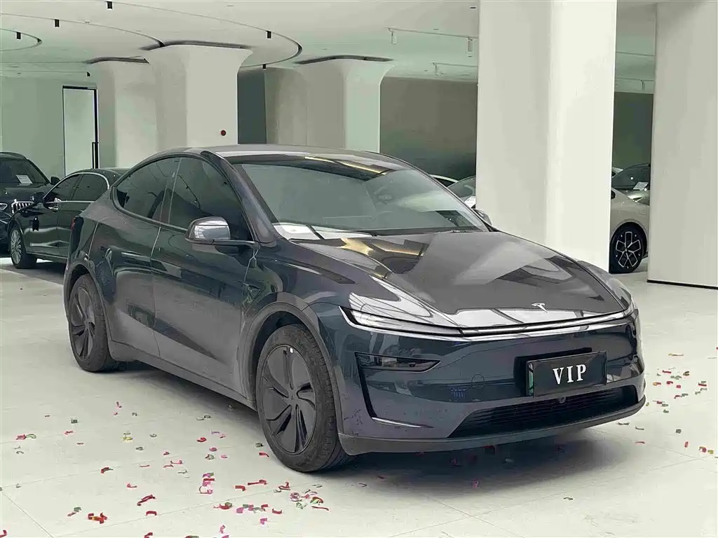 Tesla Model Y — фото 3