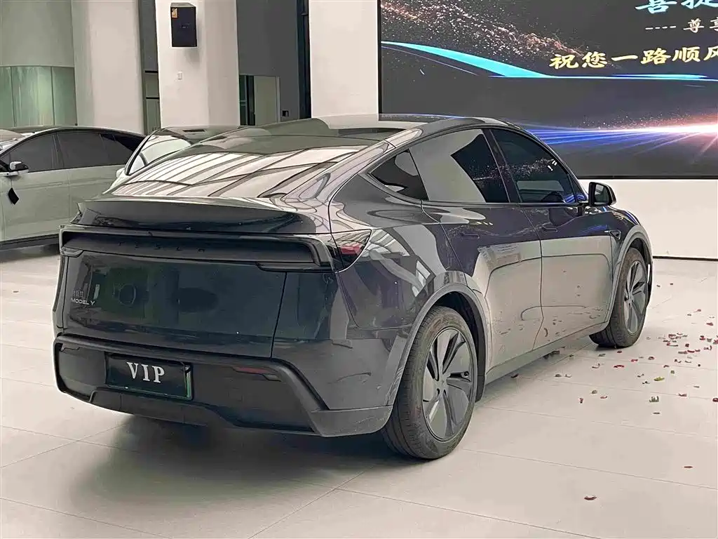 Tesla Model Y — фото 6
