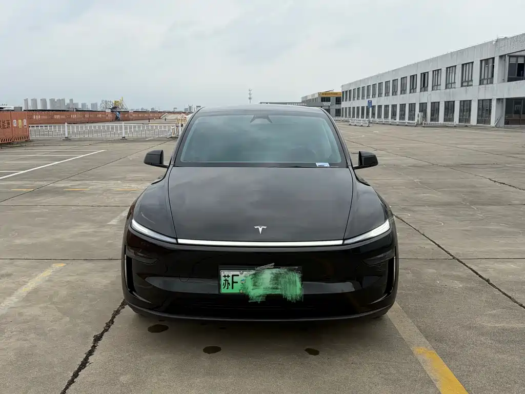 Tesla Model Y — фото 2