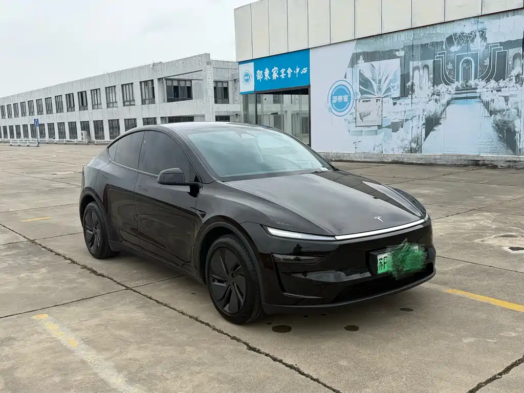 Tesla Model Y — фото 3