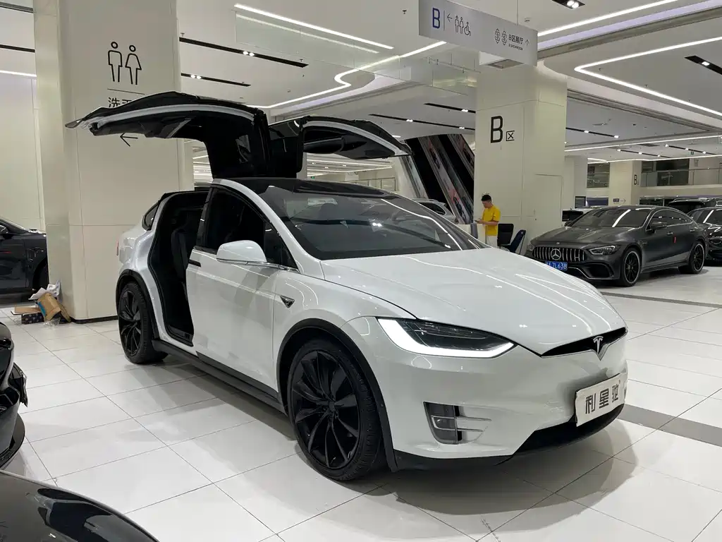 Tesla Model X — фото 2